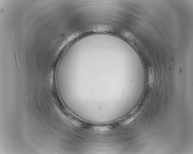 X0000057090208200510071920