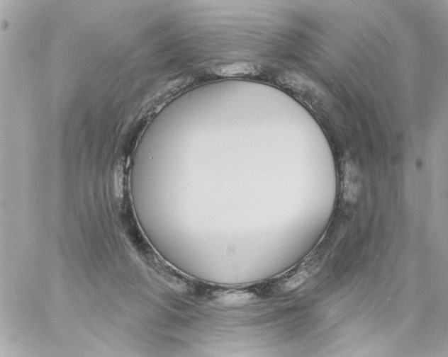 X0000057090210200510071920