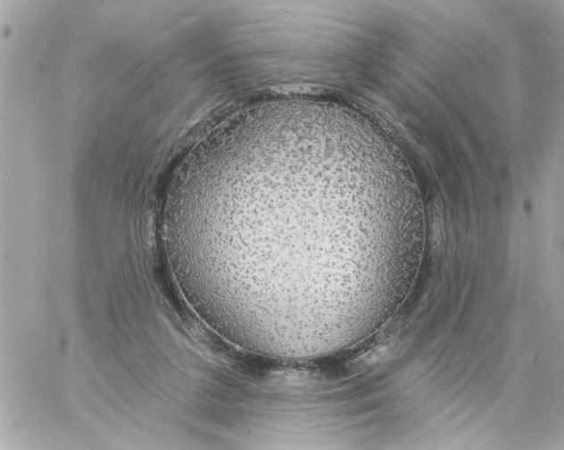 X0000057090211200510071920