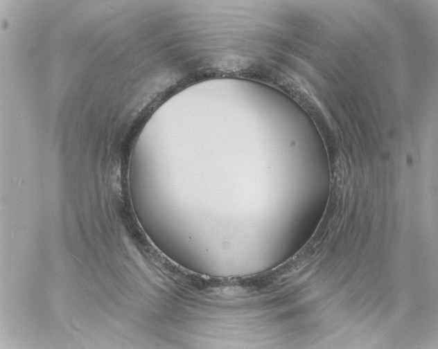 X0000057090212200510071919