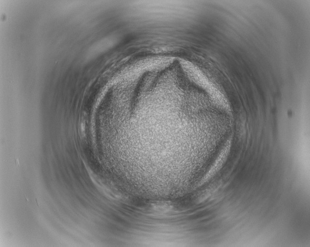 X0000057090214200510071919