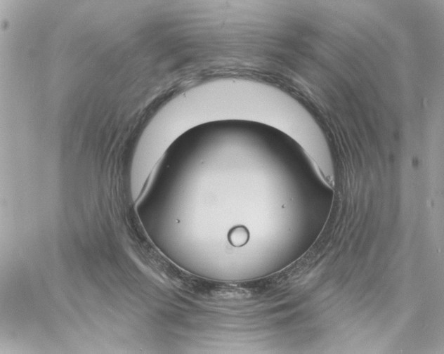 X0000057090215200510071919