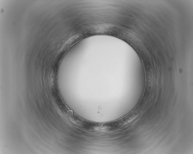 X0000057090216200510071919