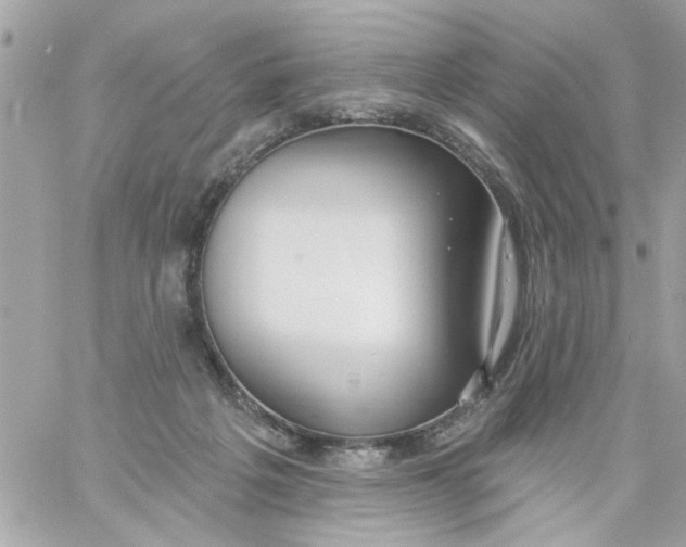 X0000057090217200510071919