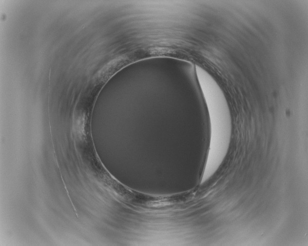 X0000057090219200510071919