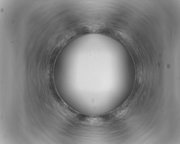 X0000057090221200510071919