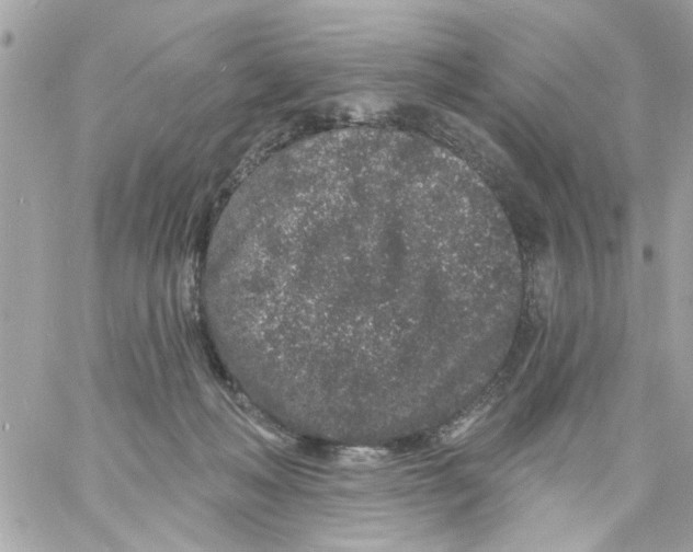 X0000057090222200510071919