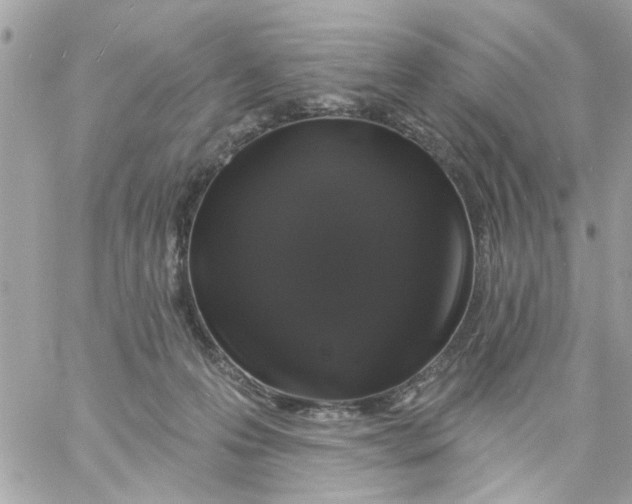 X0000057090223200510071919