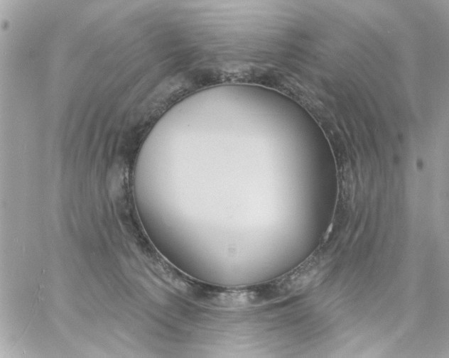 X0000057090225200510071919