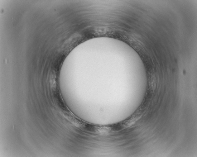 X0000057090226200510071919