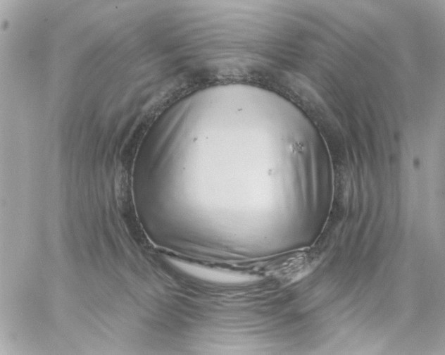 X0000057090228200510071919