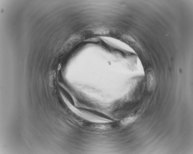 X0000057090229200510071919