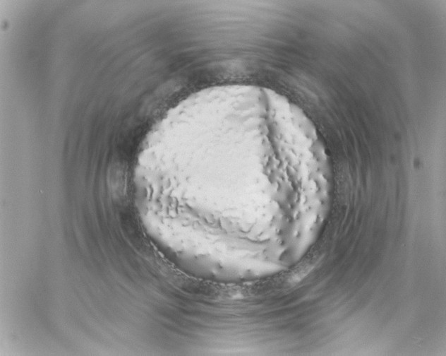 X0000057090230200510071919