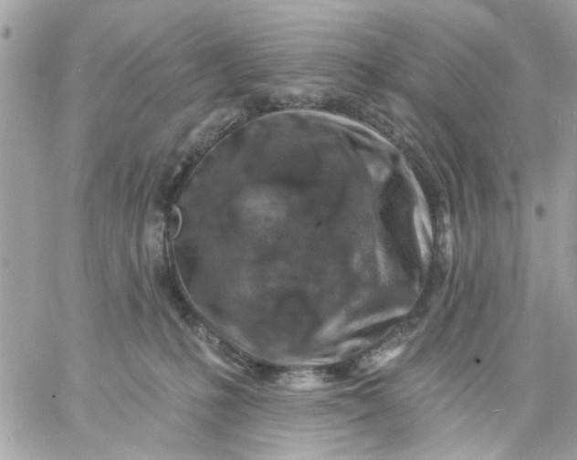 X0000057090231200510071919