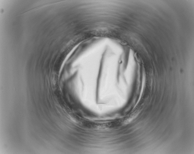 X0000057090232200510071919