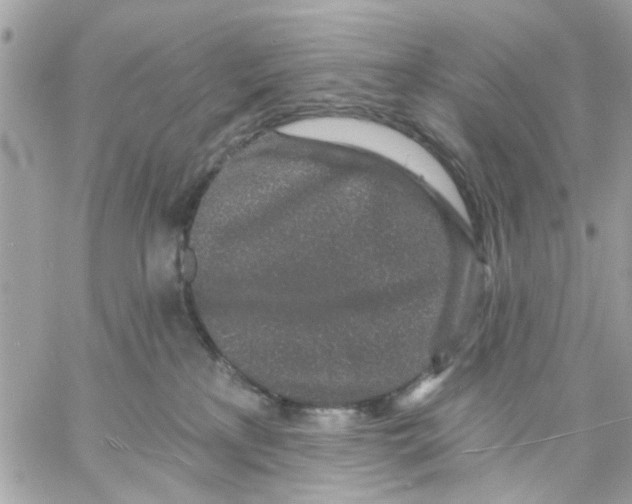 X0000057090233200510071919