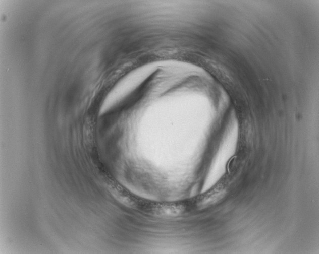 X0000057090234200510071919