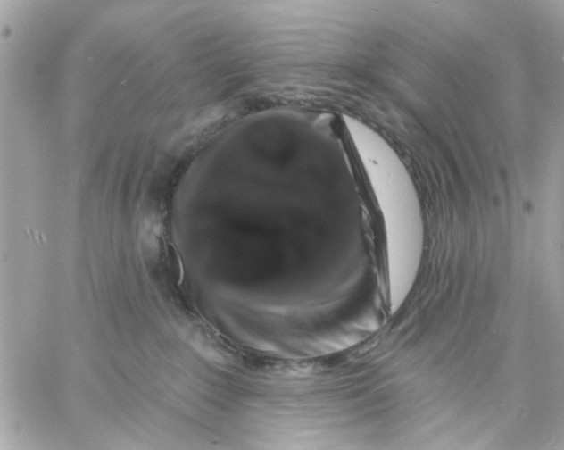 X0000057090235200510071919