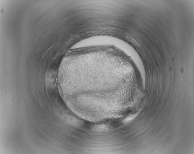 X0000057090237200510071919