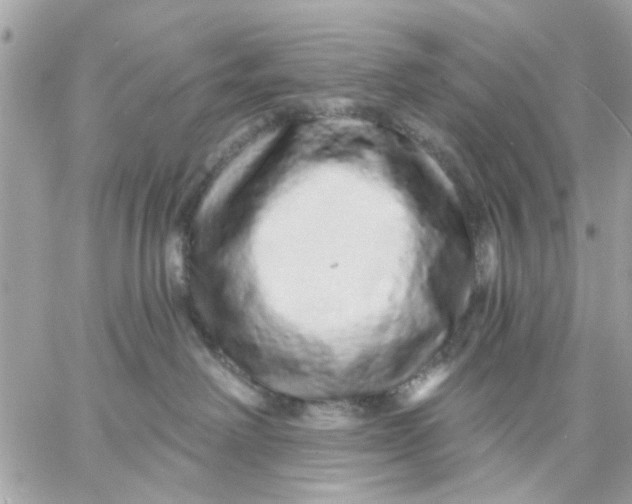 X0000057090238200510071919