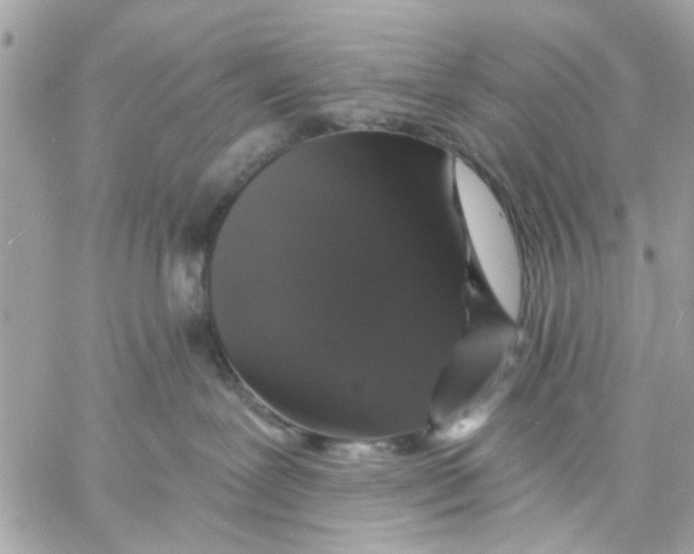 X0000057090239200510071919