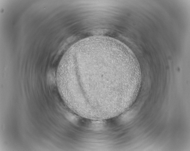 X0000057090240200510071919