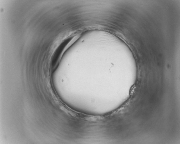 X0000057090241200510071918