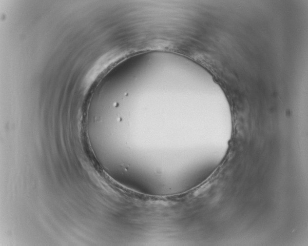 X0000057090242200510071918