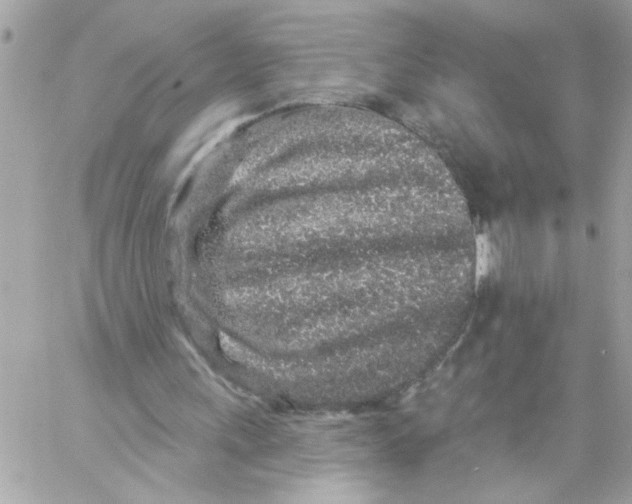 X0000057090243200510071918