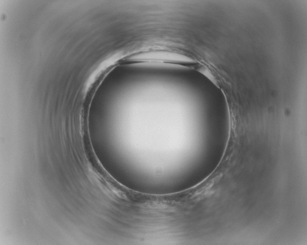 X0000057090244200510071918