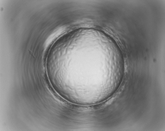 X0000057090245200510071918