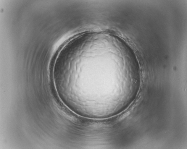 X0000057090246200510071918