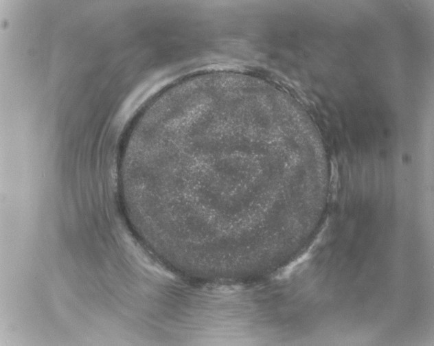 X0000057090247200510071918