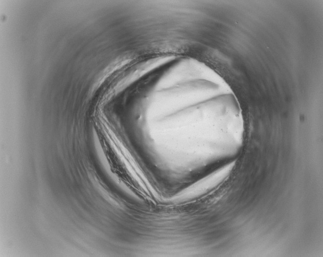 X0000057090250200510071918