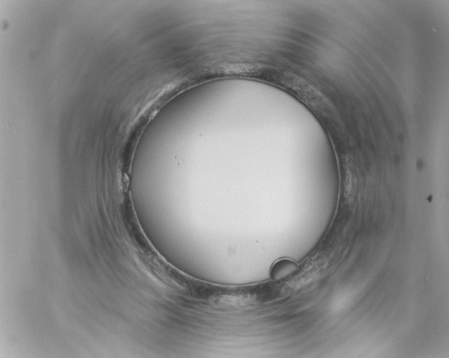 X0000057090251200510071918