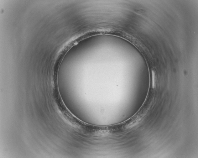 X0000057090252200510071918