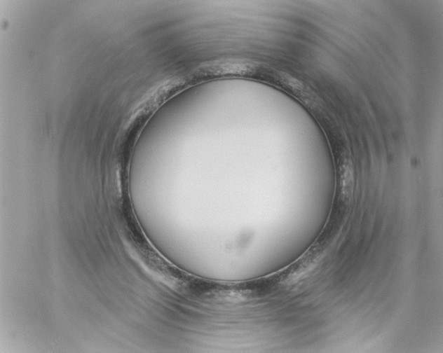 X0000057090254200510071918