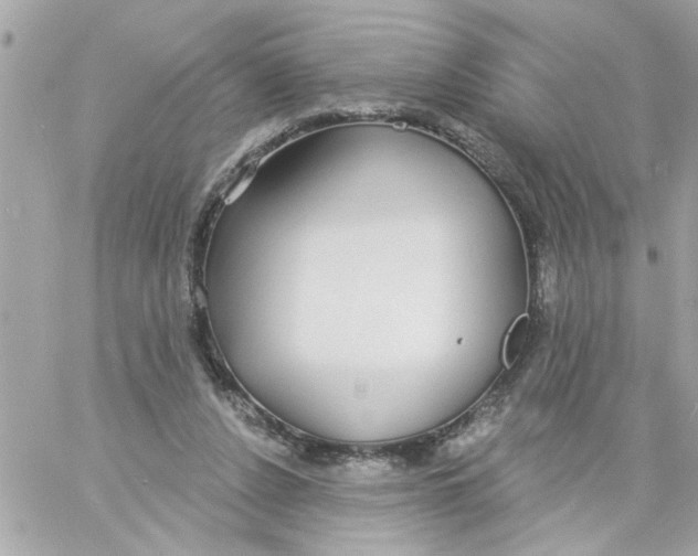 X0000057090256200510071918