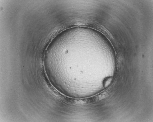 X0000057090257200510071918