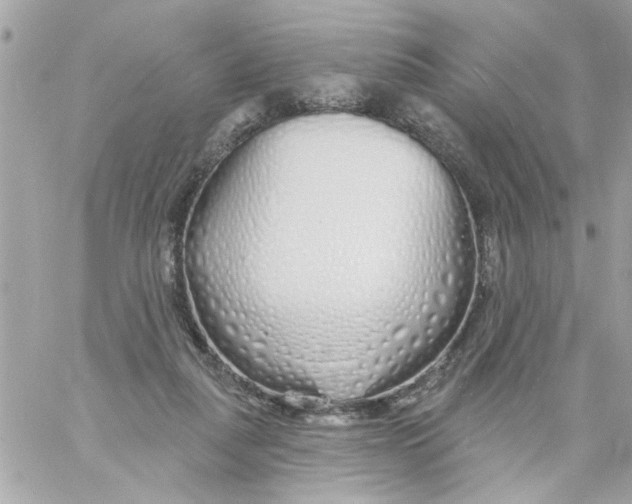 X0000057090259200510071919