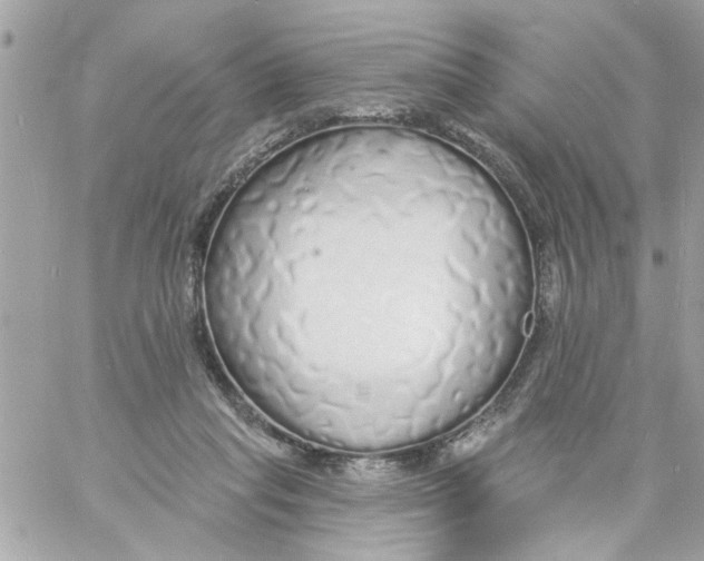 X0000057090261200510071919