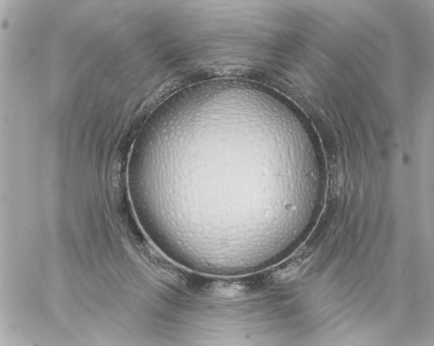 X0000057090263200510071919