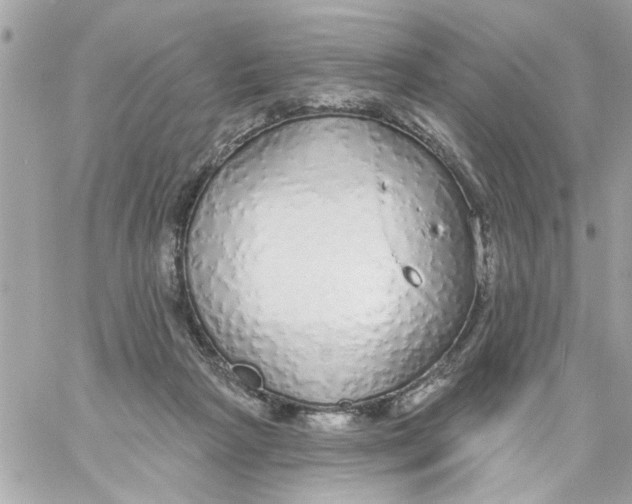 X0000057090265200510071919