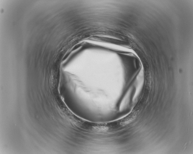 X0000057090266200510071919