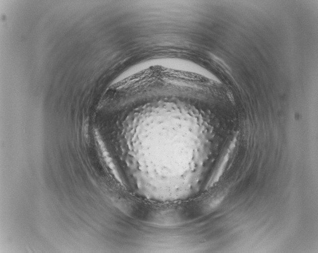 X0000057090267200510071919