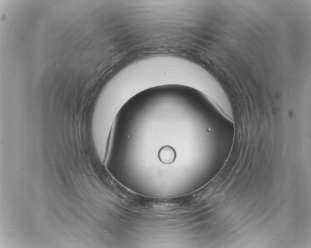 X0000057090268200510071919