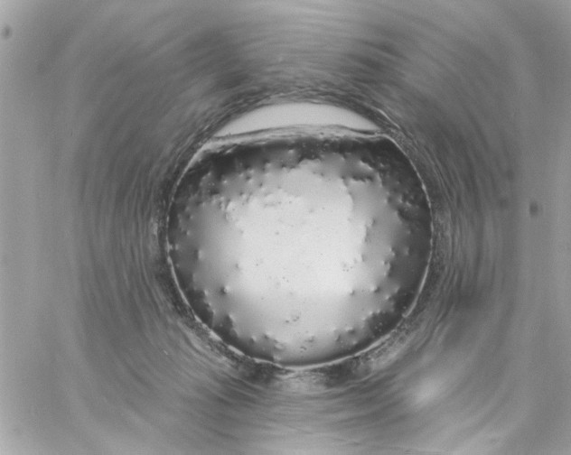 X0000057090269200510071919