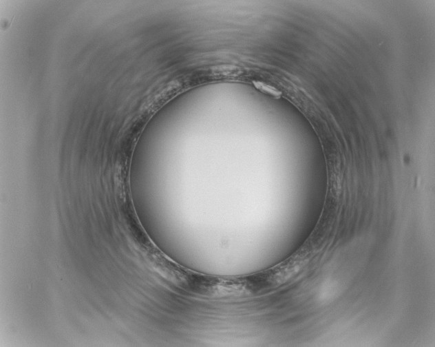 X0000057090270200510071919