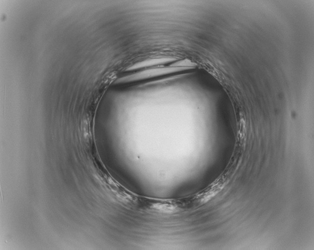 X0000057090272200510071919