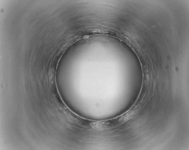 X0000057090273200510071919